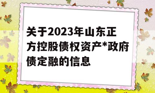 关于2023年山东正方控股债权资产*政府债定融的信息