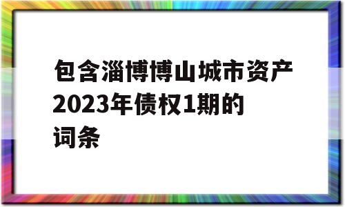 包含淄博博山城市资产2023年债权1期的词条