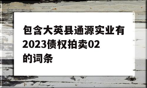 包含大英县通源实业有2023债权拍卖02的词条