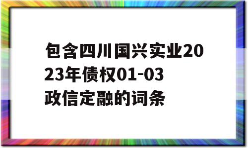 包含四川国兴实业2023年债权01-03政信定融的词条