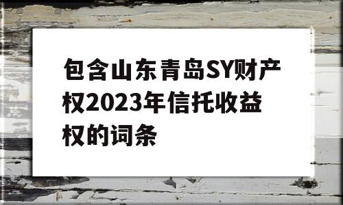 包含山东青岛SY财产权2023年信托收益权的词条