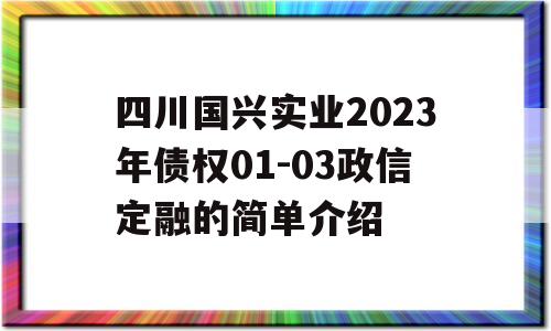 四川国兴实业2023年债权01-03政信定融的简单介绍