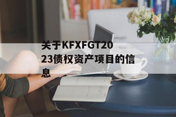 关于KFXFGT2023债权资产项目的信息