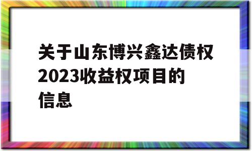 关于山东博兴鑫达债权2023收益权项目的信息