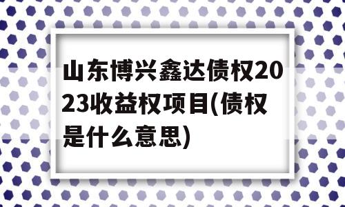 山东博兴鑫达债权2023收益权项目(债权是什么意思)