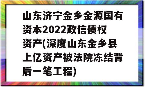 山东济宁金乡金源国有资本2022政信债权资产(深度山东金乡县上亿资产被法院冻结背后一笔工程)