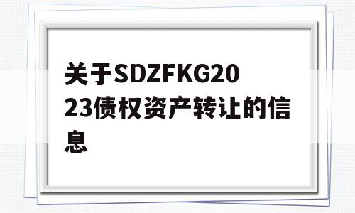 关于SDZFKG2023债权资产转让的信息