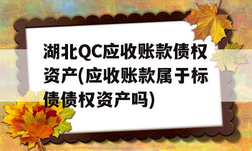 湖北QC应收账款债权资产(应收账款属于标债债权资产吗)