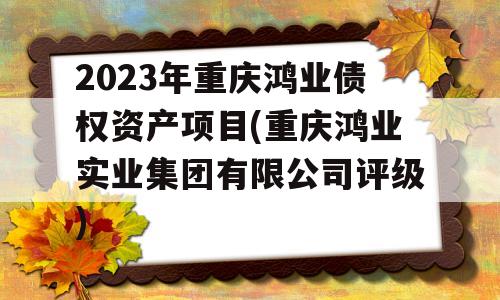 2023年重庆鸿业债权资产项目(重庆鸿业实业集团有限公司评级)