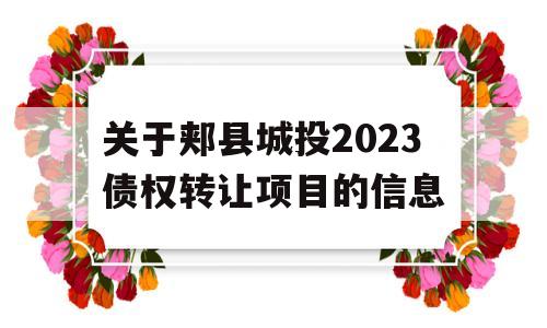 关于郏县城投2023债权转让项目的信息