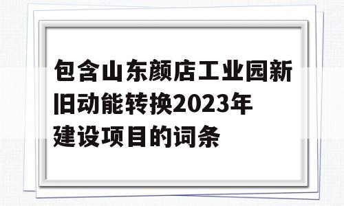 包含山东颜店工业园新旧动能转换2023年建设项目的词条