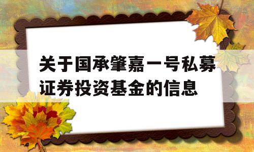 关于国承肇嘉一号私募证券投资基金的信息