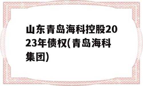 山东青岛海科控股2023年债权(青岛海科集团)