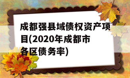 成都强县域债权资产项目(2020年成都市各区债务率)