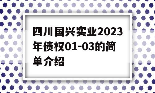 四川国兴实业2023年债权01-03的简单介绍