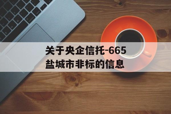 关于央企信托-665盐城市非标的信息