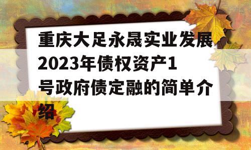 重庆大足永晟实业发展2023年债权资产1号政府债定融的简单介绍