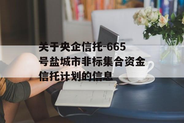 关于央企信托-665号盐城市非标集合资金信托计划的信息