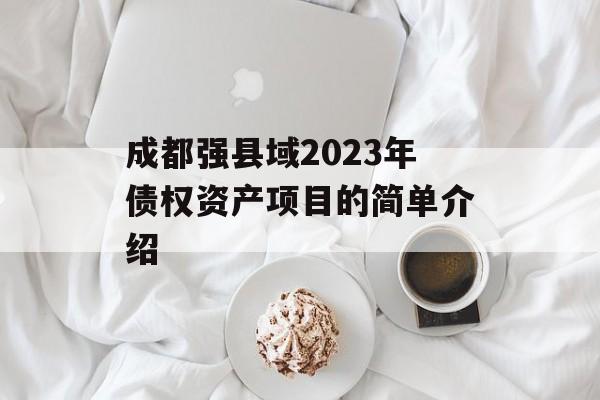 成都强县域2023年债权资产项目的简单介绍