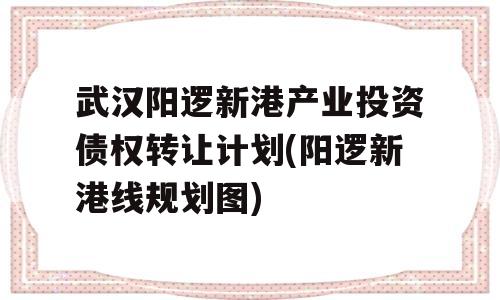 武汉阳逻新港产业投资债权转让计划(阳逻新港线规划图)