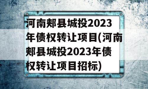 河南郏县城投2023年债权转让项目(河南郏县城投2023年债权转让项目招标)