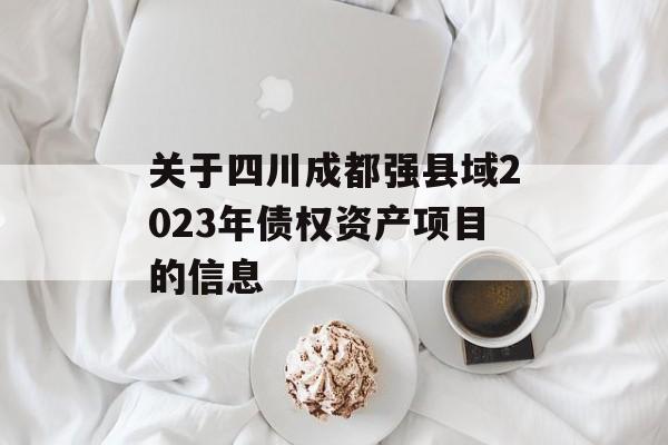 关于四川成都强县域2023年债权资产项目的信息