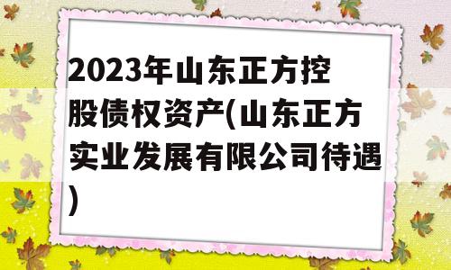 2023年山东正方控股债权资产(山东正方实业发展有限公司待遇)