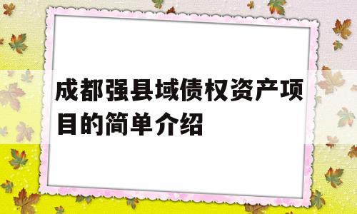 成都强县域债权资产项目的简单介绍