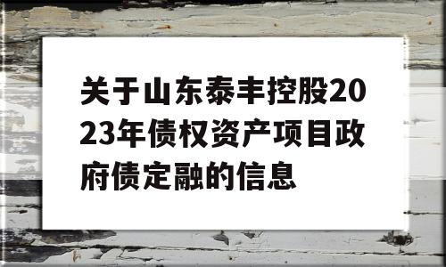 关于山东泰丰控股2023年债权资产项目政府债定融的信息