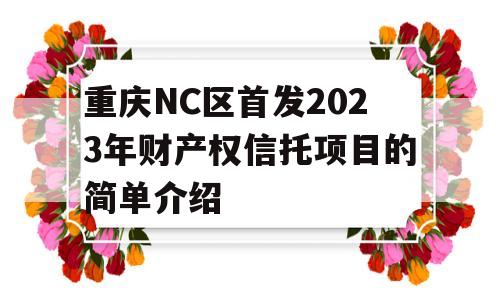 重庆NC区首发2023年财产权信托项目的简单介绍