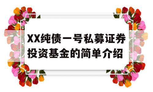 XX纯债一号私募证券投资基金的简单介绍