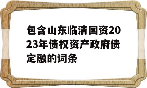 包含山东临清国资2023年债权资产政府债定融的词条