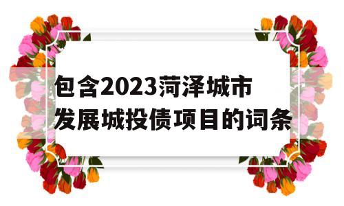 包含2023菏泽城市发展城投债项目的词条