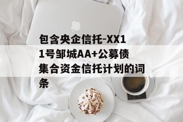 包含央企信托-XX11号邹城AA+公募债集合资金信托计划的词条