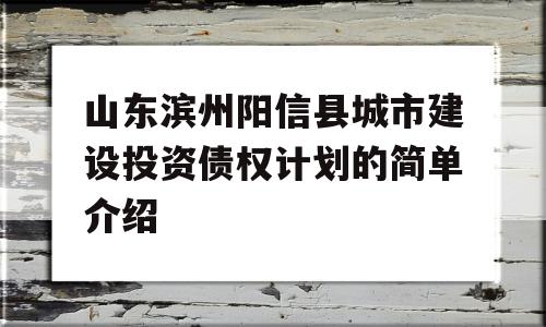 山东滨州阳信县城市建设投资债权计划的简单介绍