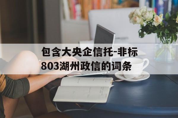 包含大央企信托-非标803湖州政信的词条