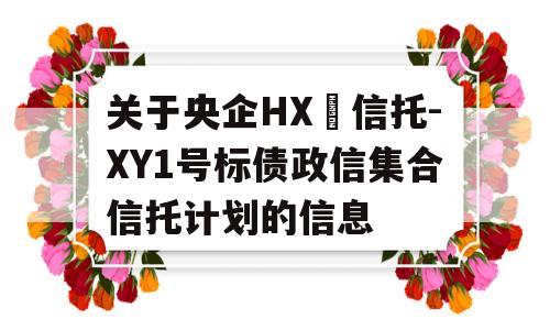 关于央企HX‬信托-XY1号标债政信集合信托计划的信息