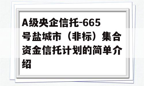 A级央企信托-665号盐城市（非标）集合资金信托计划的简单介绍