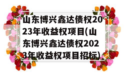 山东博兴鑫达债权2023年收益权项目(山东博兴鑫达债权2023年收益权项目招标)