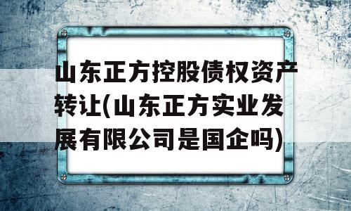 山东正方控股债权资产转让(山东正方实业发展有限公司是国企吗)