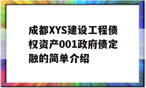 成都XYS建设工程债权资产001政府债定融的简单介绍