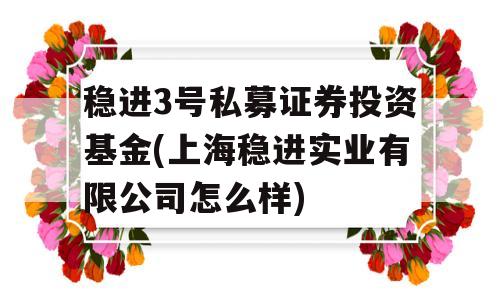 稳进3号私募证券投资基金(上海稳进实业有限公司怎么样)