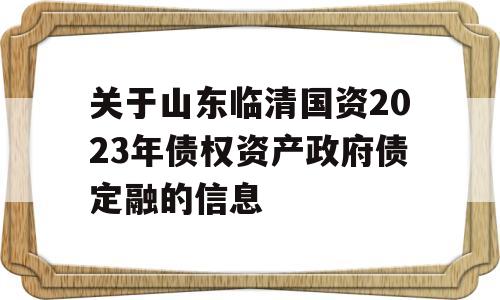 关于山东临清国资2023年债权资产政府债定融的信息