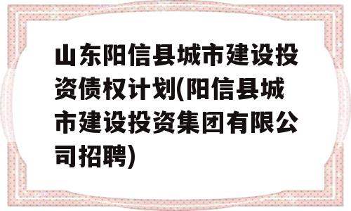 山东阳信县城市建设投资债权计划(阳信县城市建设投资集团有限公司招聘)