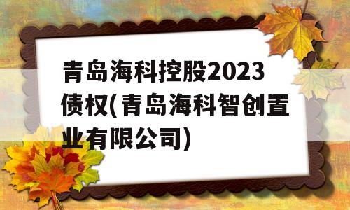 青岛海科控股2023债权(青岛海科智创置业有限公司)