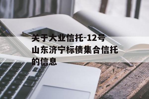 关于大业信托-12号山东济宁标债集合信托的信息