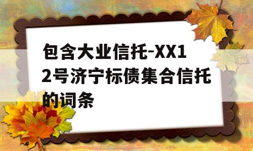 包含大业信托-XX12号济宁标债集合信托的词条