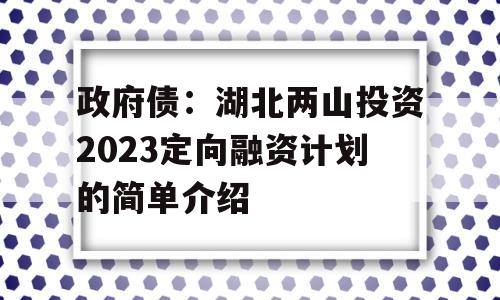 政府债：湖北两山投资2023定向融资计划的简单介绍