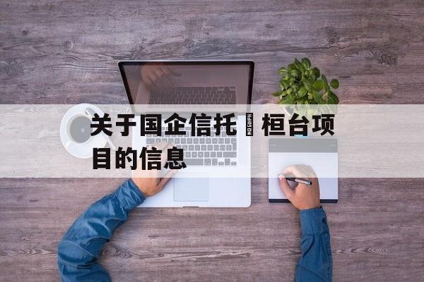 关于国企信托•桓台项目的信息