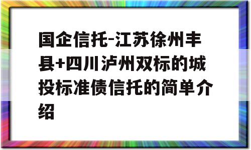 国企信托-江苏徐州丰县+四川泸州双标的城投标准债信托的简单介绍